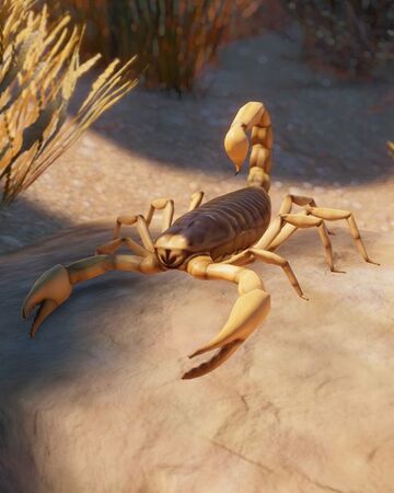 Giant Desert Hairy Scorpion Planet Zoo Wiki Fandom