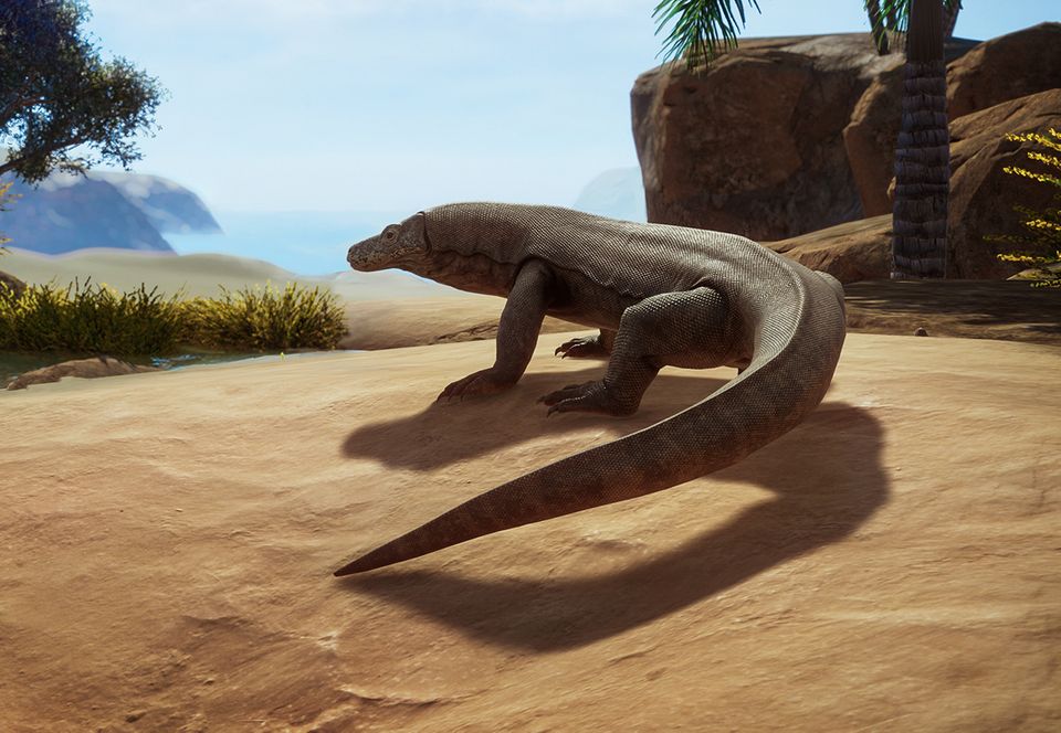 Komodo Dragon | Planet Zoo Wiki | Fandom