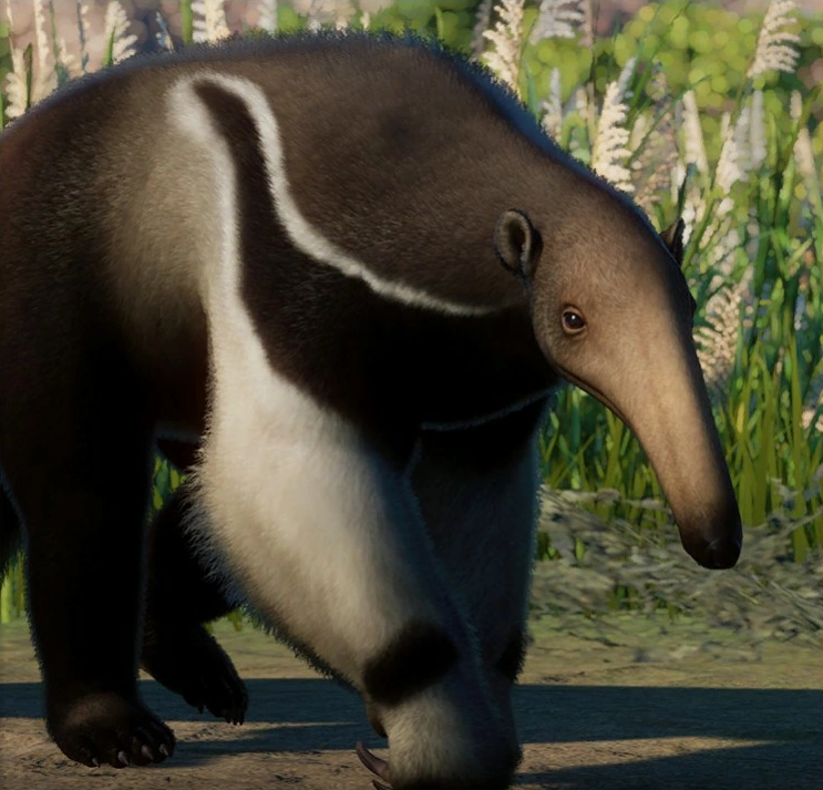 Tamanoir Wiki Zoo Fandom — free download