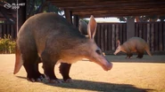 Aardvark.jpg (89 KB) Base Aardvark