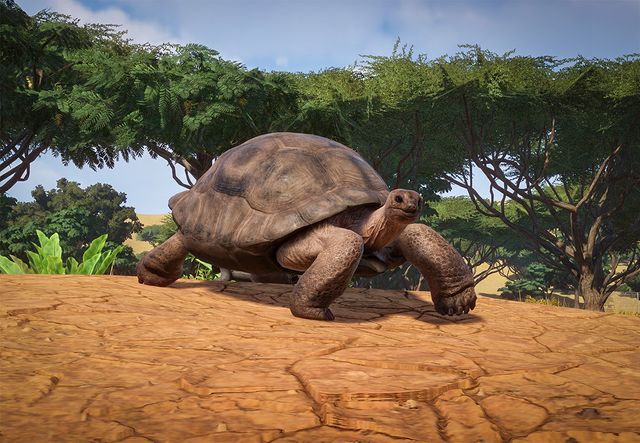 planet zoo animals by biome