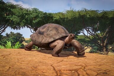Aldabra Giant Tortoise 切手　4 シート　全て異なる4種類 Giant Aldabra tortoise for sale online | baby Aldabra for