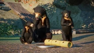 SunBearFamily.jpg (1.63 MB)