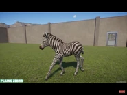 750DD880-330C-4B9F-B260-4243CC3D376F.jpeg (349 KB) Baby Plains Zebra