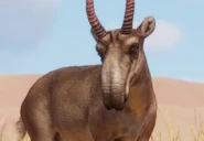 Saigazoopedia.jpg (27 KB) Base Saiga