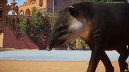 Screenshot (200).png (1.99 MB) Base Baird's Tapir