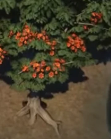 Tamarind Tree Planet Zoo Wiki Fandom