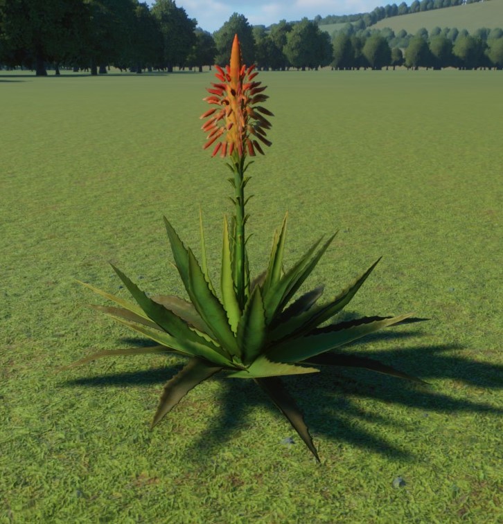 Aloe Vera, Planet Zoo Wiki