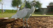 Planet Zoo Super- (プラネット・ズー スーパー)レゾリューション201911.18 - 19.54.44.62