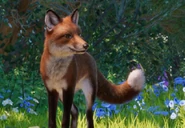 Redfoxzooepdia.jpg (52 KB) Base Red Fox
