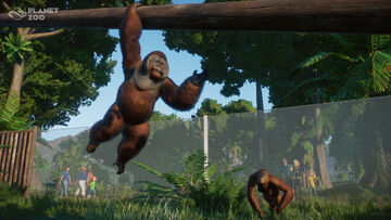 PLANET ZOO Gameplay Trailer (2019) 