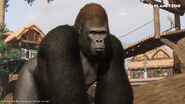 Samuel-bang-gorilla-ingame-screens-03