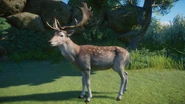 Menil fallowdeer.png (920 KB) Menil European Fallow Deer Buck