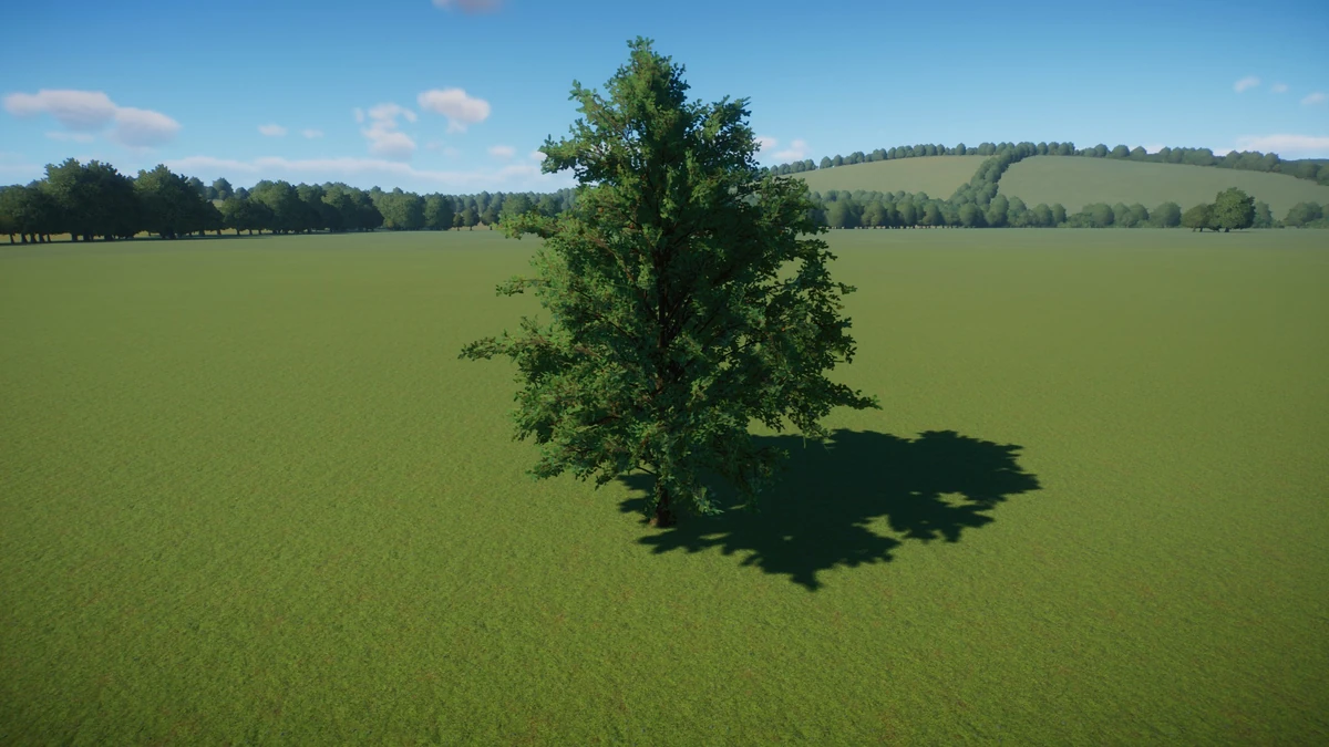 Apple Tree Zoo Wiki Fandom