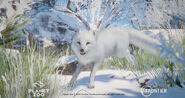 Maiken Woxholt's Art