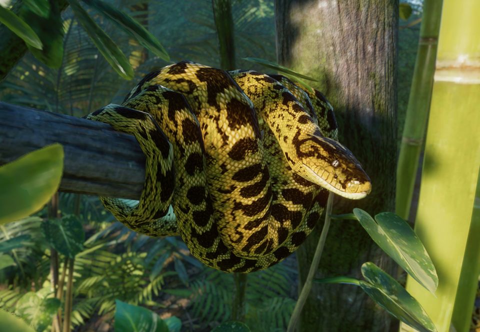 Yellow Anaconda Planet Zoo Wiki Fandom