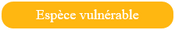 vu