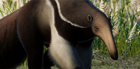 IconGiantAnteater.png