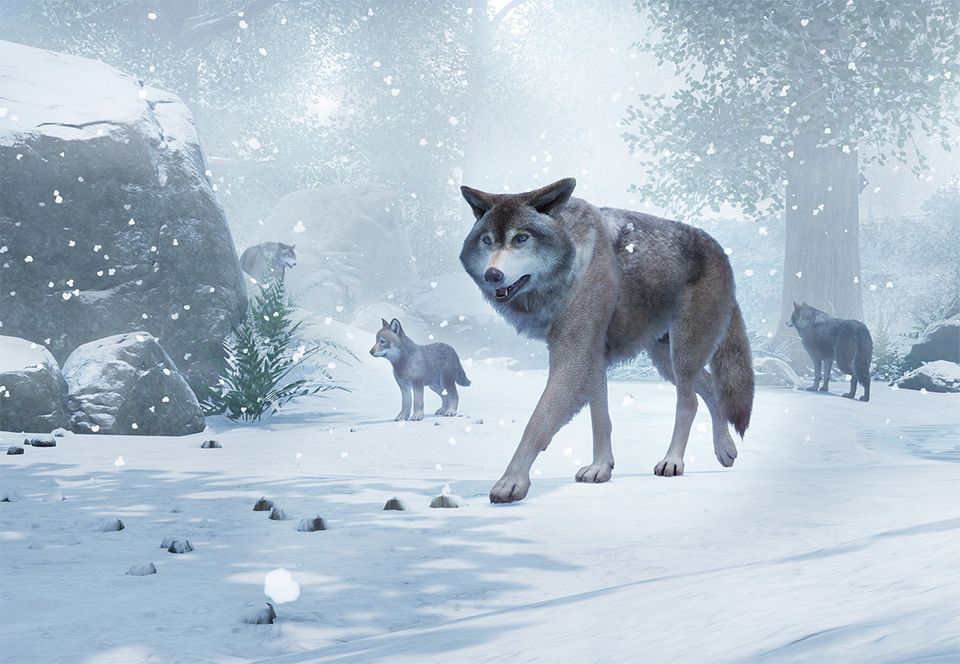 Timber Wolf | Planet Zoo Wiki | Fandom