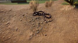 Camoground