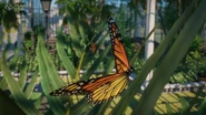 Monarch.png (832 KB)