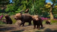 First reveal of the Bush Dog