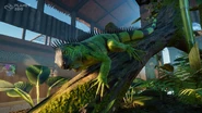 Greeniguana1.jpeg (413 KB)