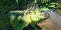 IconGreenIguana