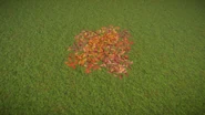 Autumn Leaf Litter 3