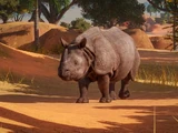 Indian Rhinoceros