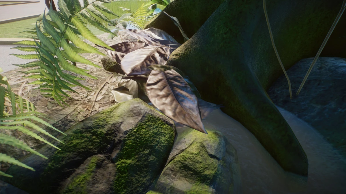 Leaf Litter Zoo Wiki Fandom