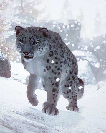 Snow Leopard Planet Zoo Wiki Fandom [ 450 x 360 Pixel ]