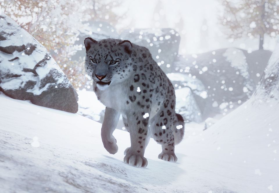 Snow leopard, Habitat, Diet, & Facts