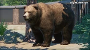 Samuel-bang-grizzly-ingame-screens-01.jpg (572 KB) Base Grizzly Bear