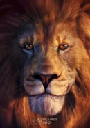 Alik-sarkisyan-lion-hd-pcgamer-cover-preview-eye-update.jpg (570 KB)