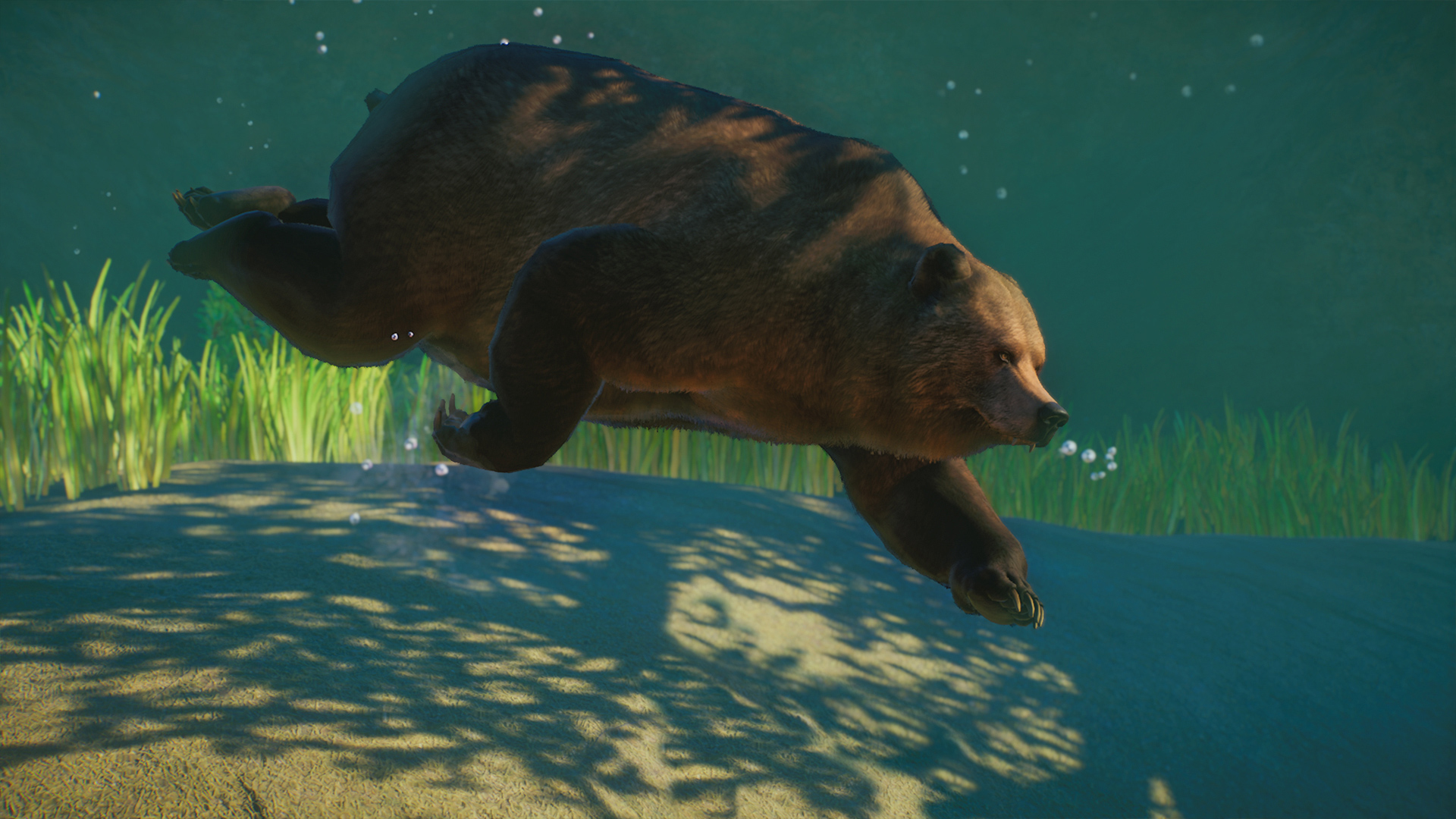 Planet Zoo: Eurasia Animal Pack and Free Update 1.16 Out Now! - Planet Zoo