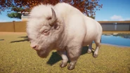 Изображение 2021-04-01 121746.png (1.39 MB) Albino American Bison