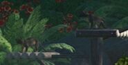Two Fossas seen in the background of the Tropical Pack banner