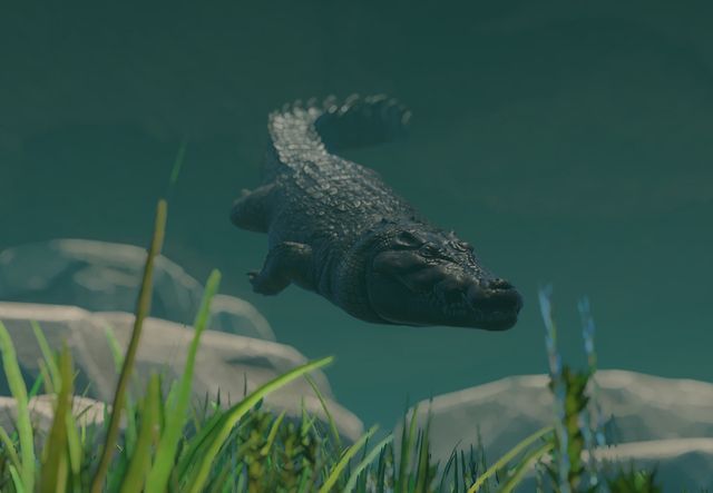 albino himalayan crocodile animal