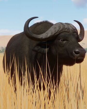 African Planet Zoo Wiki Fandom