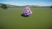 Cherry Blossom Tree 02