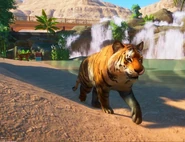 Изображение 2020-11-05 120455.png (1.07 MB) Base Bengal Tiger