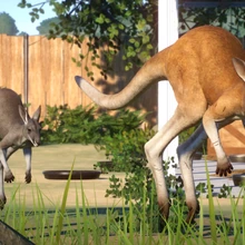 Planet Zoo Wiki Fandom These icons are easy to access through iconscout plugins for sketch, adobe. planet zoo wiki fandom