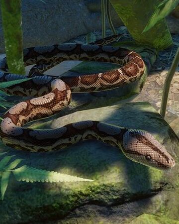 planet zoo wiki fandom