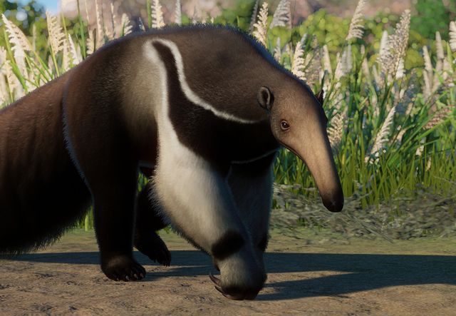 Giant Anteater | Planet Zoo Wiki | Fandom