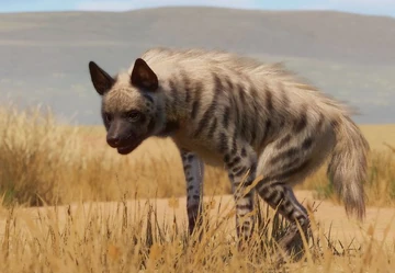 Spotted Hyena Vs Striped Hyena
