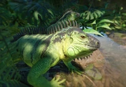 GreenIguana.jpg (105 KB) Base Green Iguana
