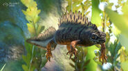 The Twitter reveal for the Danube Crested Newt