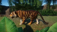 PseudoMelanisticBengal.jpeg (469 KB) Pseudo-Melanistic Bengal Tiger