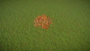 Autumn Leaf Litter 2